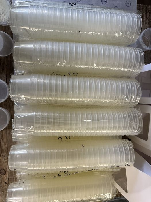 Продам креманки в большом количестве