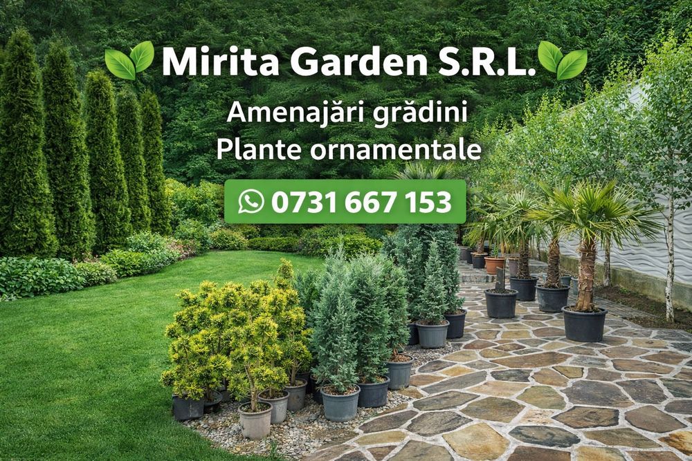 Plante Mesteacăn Tei leylandii laur englezesc