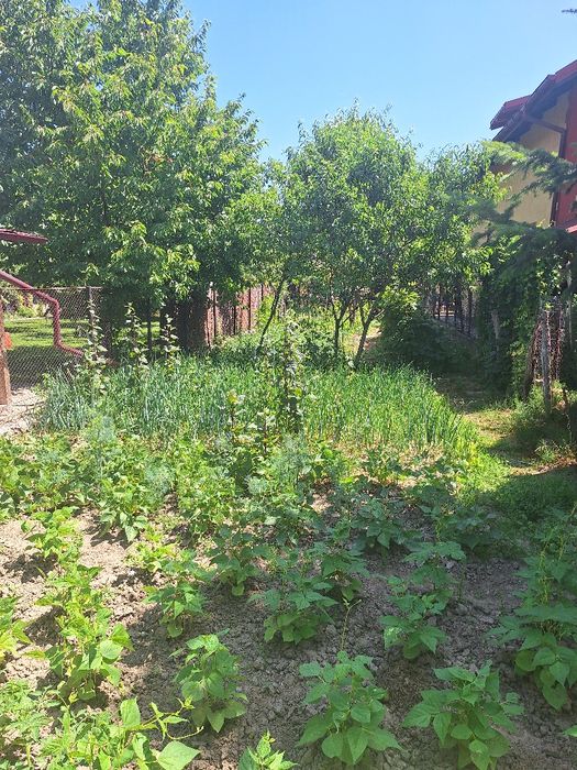 Teren si casa Curtea de Arges