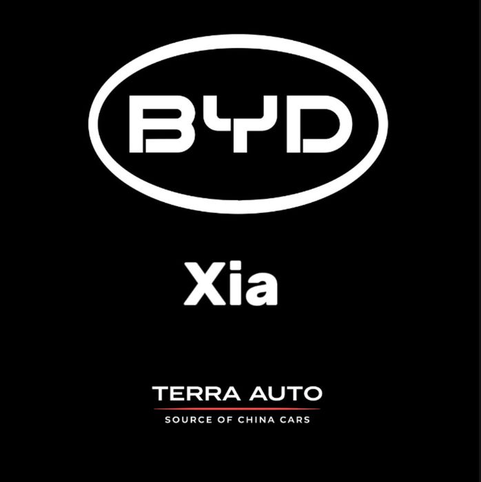 BYD Xia минивэн под заказ от Terra Auto