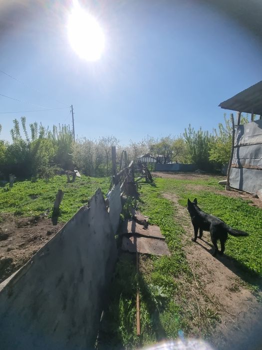Участок 10 соток Кокозек