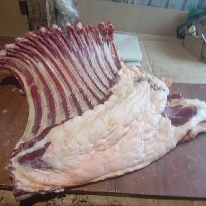 Продам мясо конина по частям