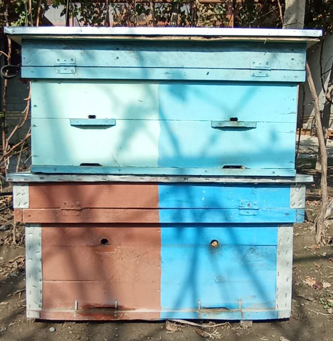 Asalari yashik, ramkalari ham bor