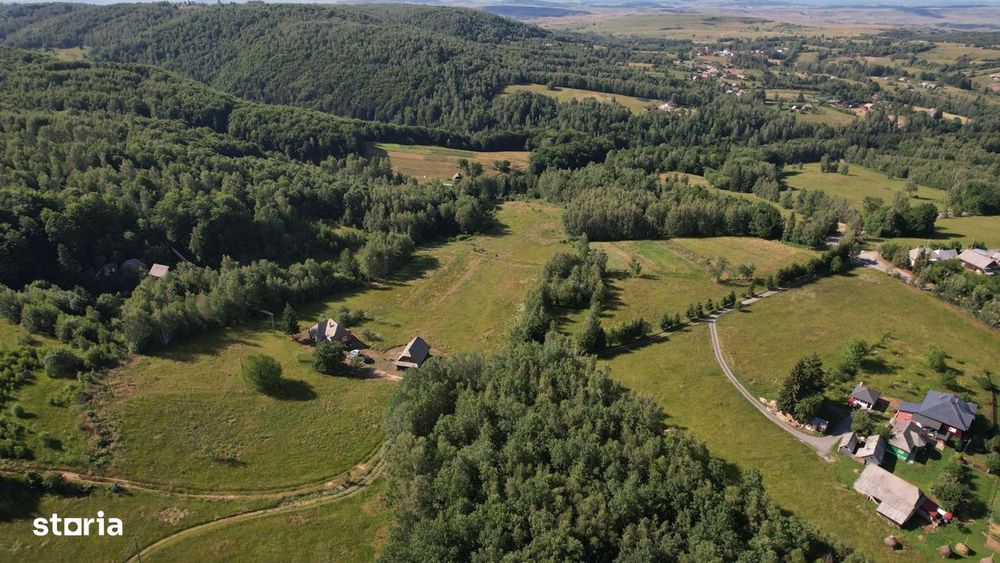 Exclusivitate | Teren de vanzare, 38.781 mp in Rasca