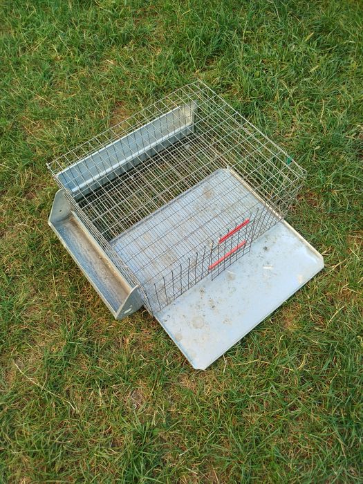 Cușcă prepelițe 30buc