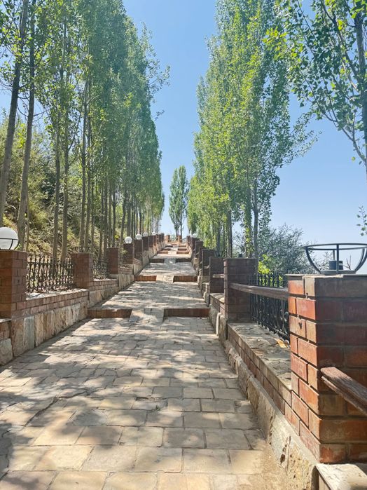 Экскурсия Институт солнца, Мечеть Хазрат Али Бува, Узумферма и др.