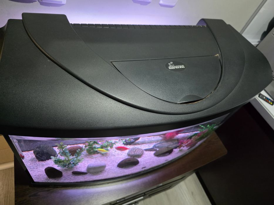 Аквариум Diversa Startup 80 Oval