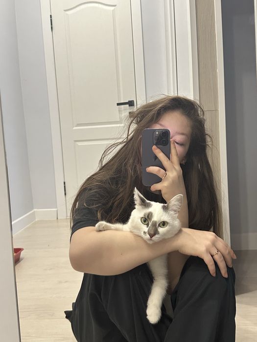 Отдам кота в хорошие руки