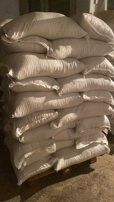 Ракушка кормовая