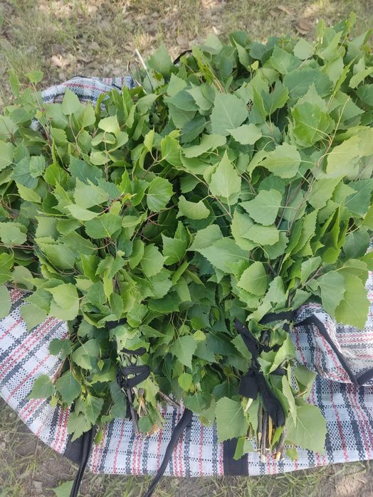 Веники банные продам