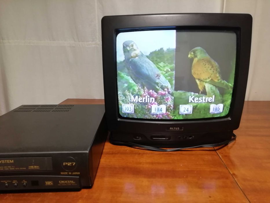 телевизор Altus , работещ