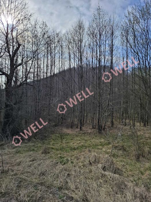 Teren de vânzare în Sovata – Strada Stâna de Vale