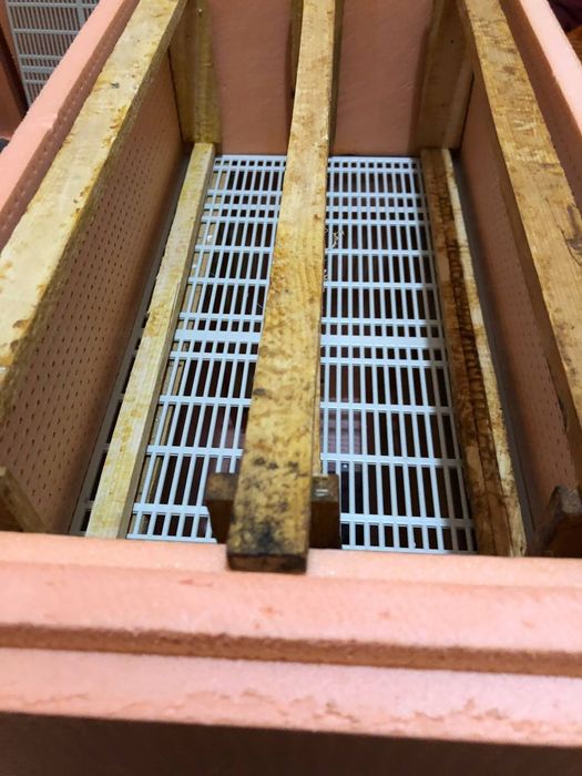 Asalari uyalari penaplekstdan yasalgan