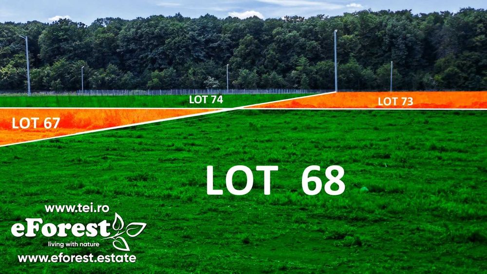 Loturi de la 720 mp, intre 2 paduri, eForest, acces asfaltat din DN1A