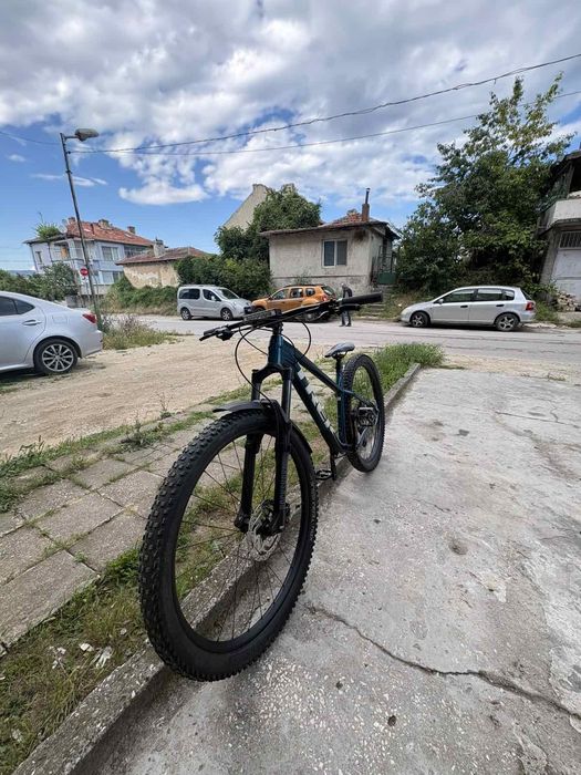 Trek roscoe 2025  M/L 29