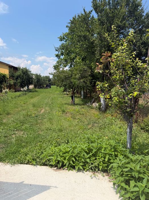 Pământ intravilan