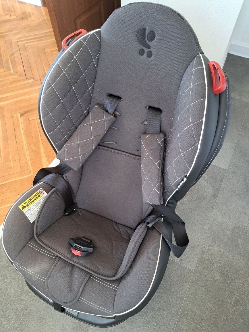 Lorelli arthur hot sale