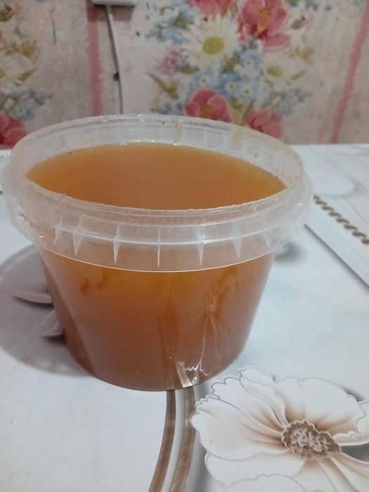 Продам Мёд из Шемонайха