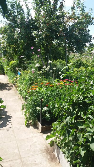 Продам дачу в с/о Борки