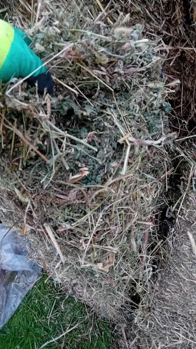 Baloți  de lucernă