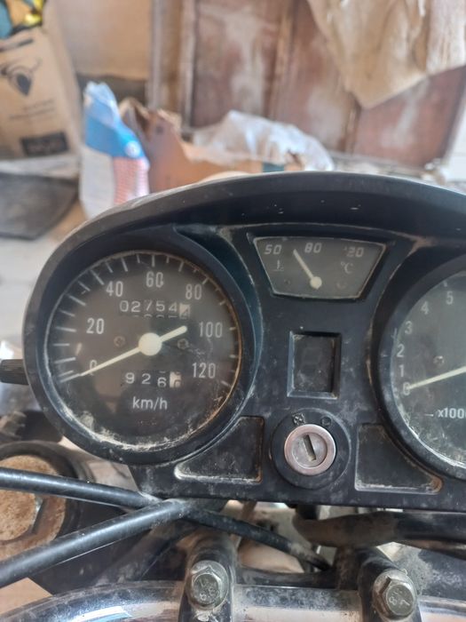 Муравей, New Star