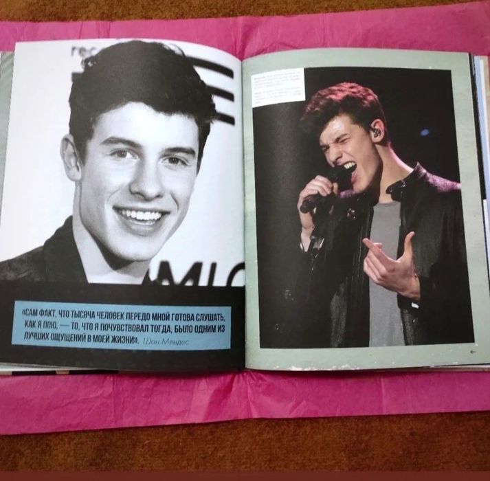 Шон Мендес книга