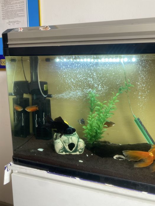 Продается аквариум на 100литров