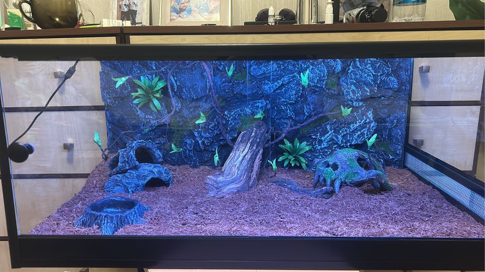 Изготовление террариумов