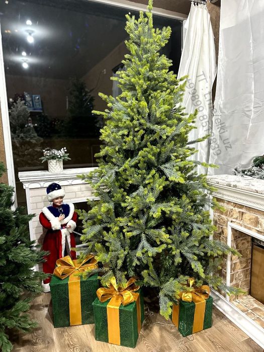 Ель зимний каприз