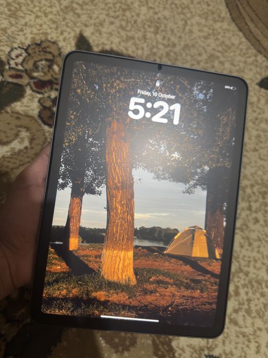 iPad air 5 ( 256гб)