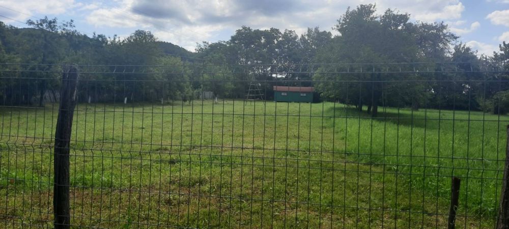 Teren intravilan cu căbănuță valea Doftanei, cheile Doftanei