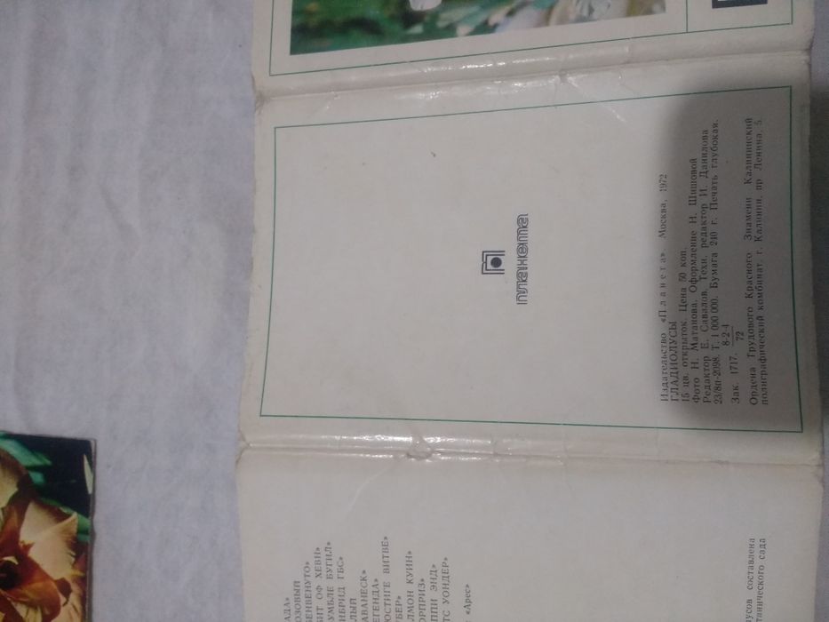 Коллекционные  открытки  ГЛАДИОЛУСЫ 1972 год