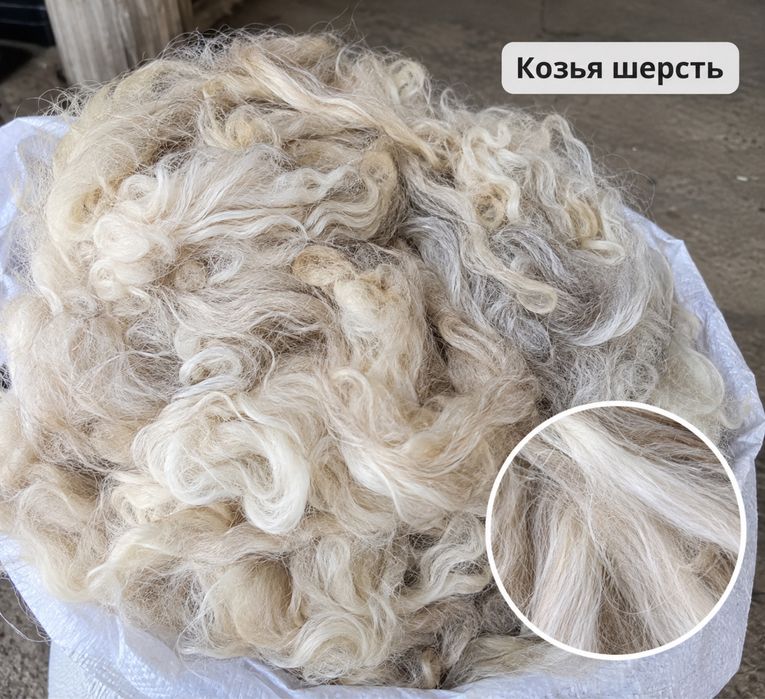 Продаю козью шерсть