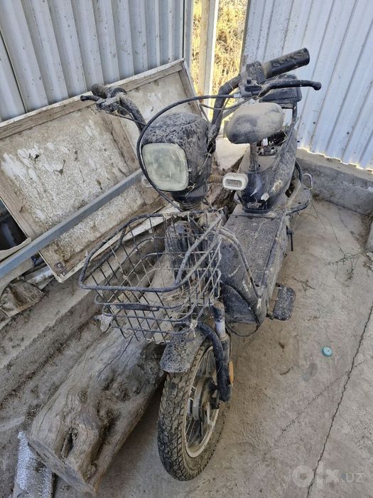Skuter tuklik minilgan