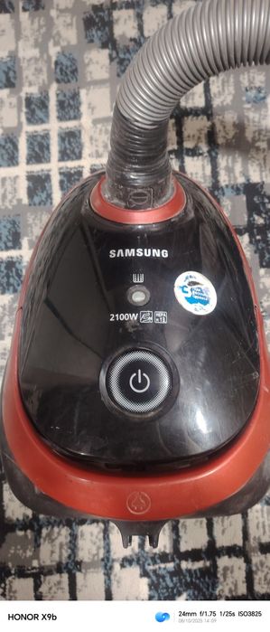 Pilisos samsun arginal