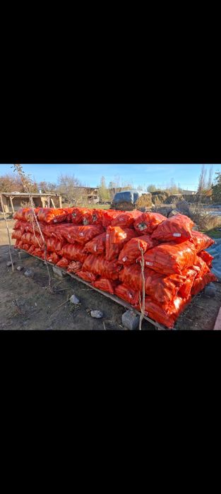 Жугеры бар ак жугеры