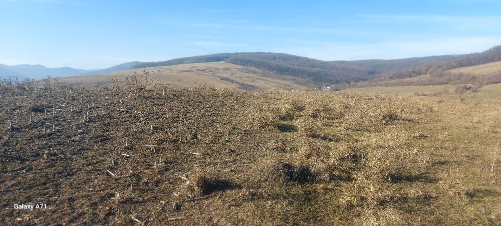 Teren în oraș, zonă în plină dezvoltare