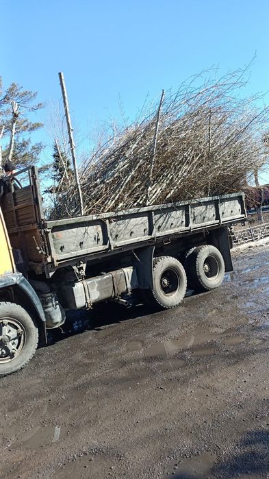 Обрезка деревьев. Формовка, вывозка.