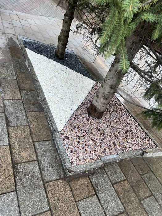 Семена дерн, газон под ключ