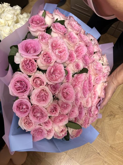 Продам цветы  срочно