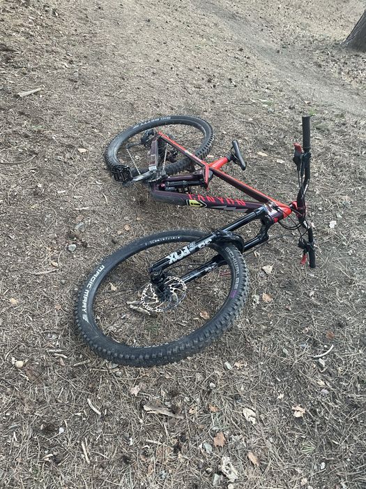 Canyon Strive 2022