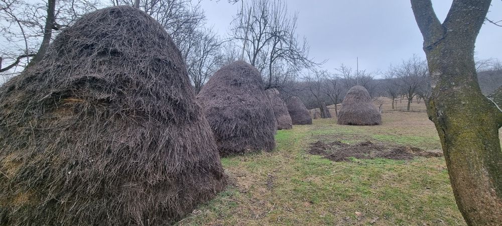 Fan de vanzare vrac și țuica