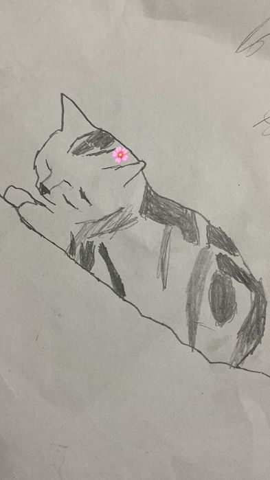 Рисунки питомцев