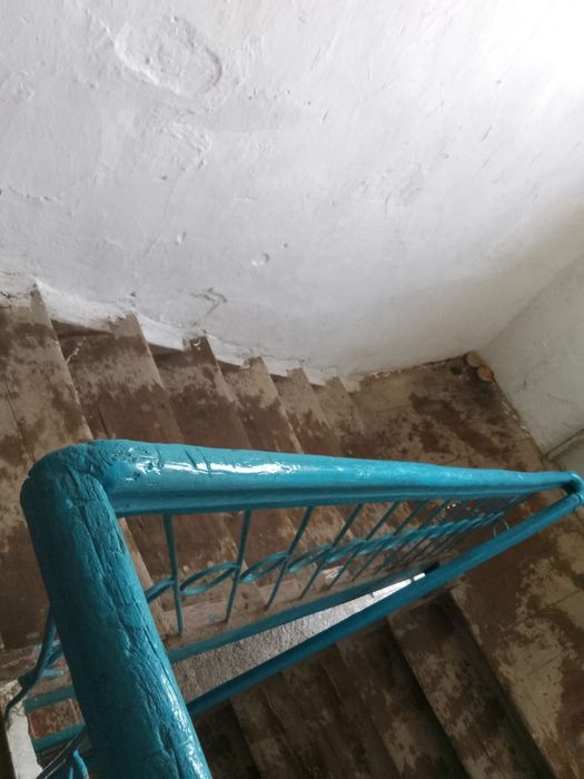 Саудасы бар кыста жылы
