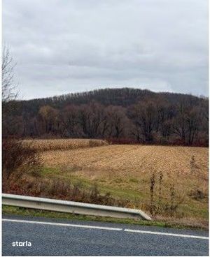 Teren extravilan arabil Baia de Cris, Hunedoara - 3070972