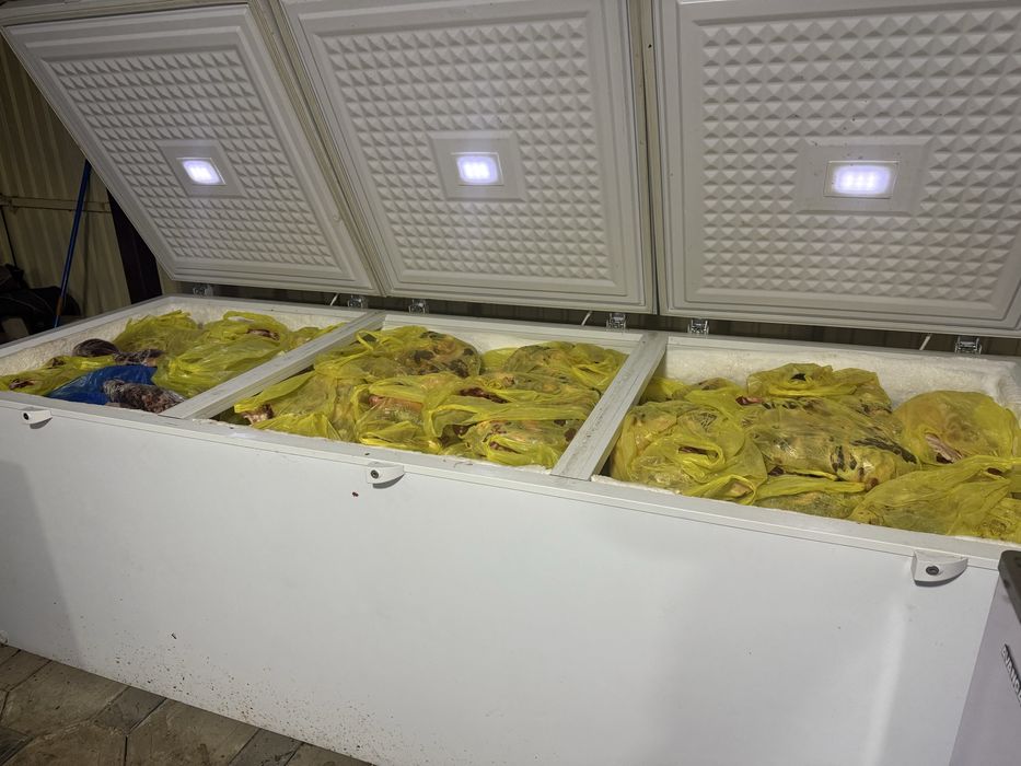 2 маразилника почти новыи