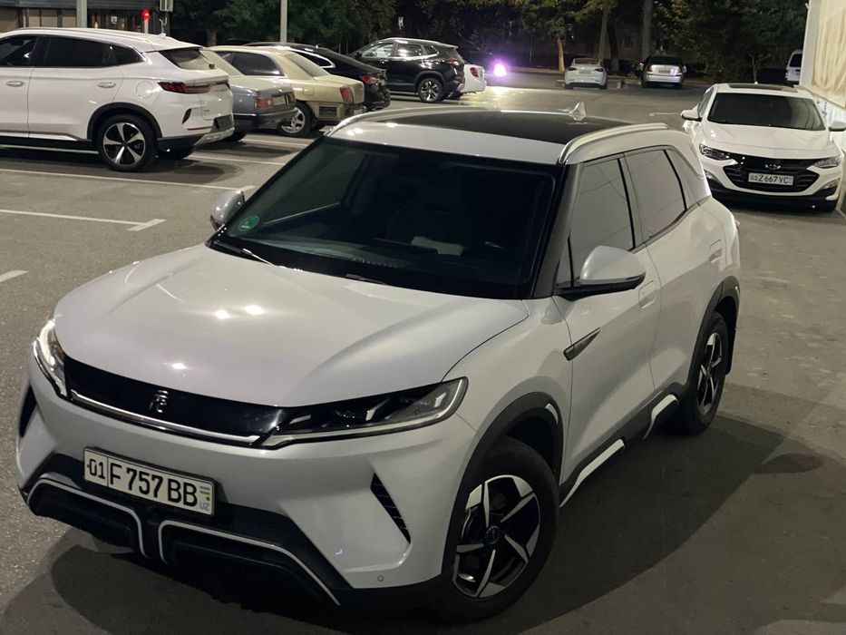 Byd Yuan Up 2024