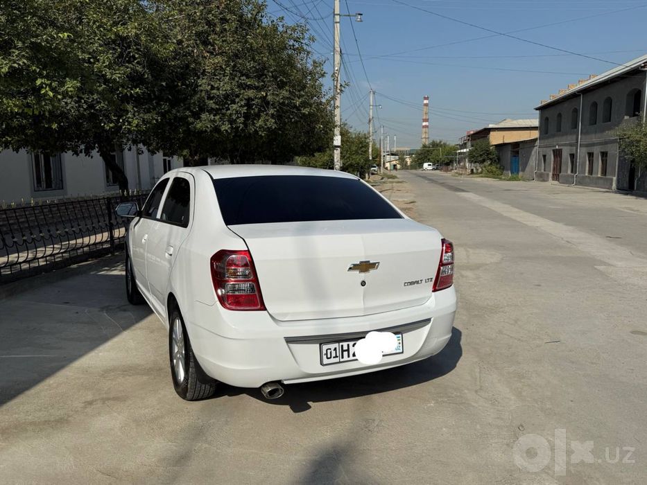 Cobolt 2024 Toza