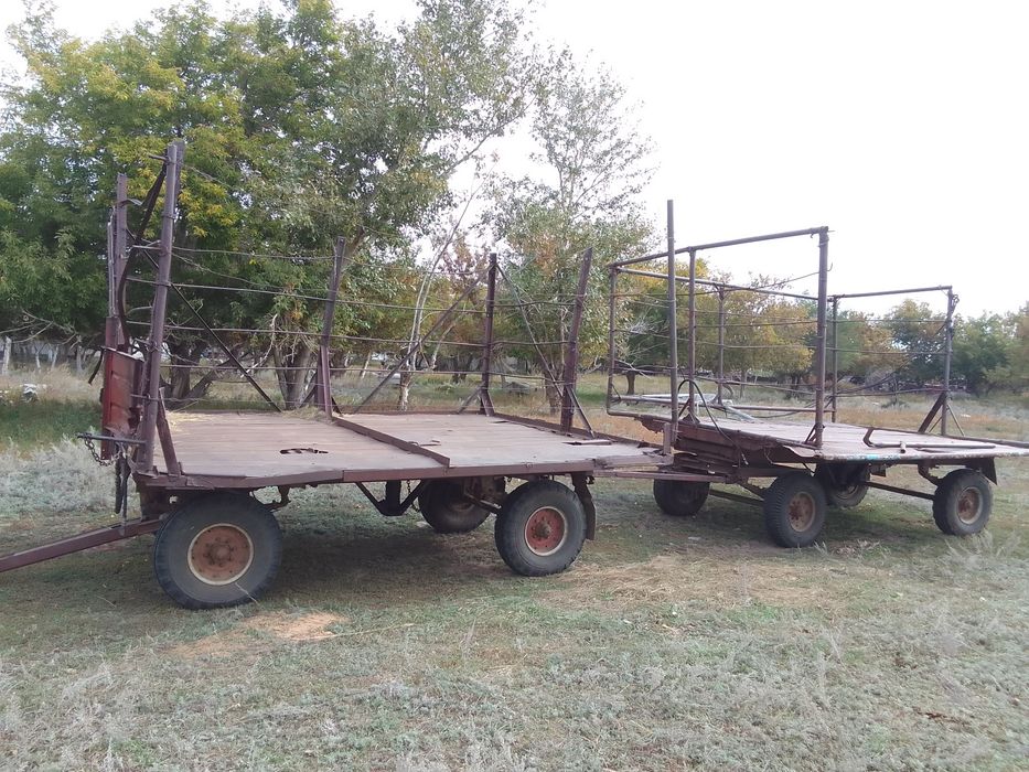 Продам МТЗ 80 кун