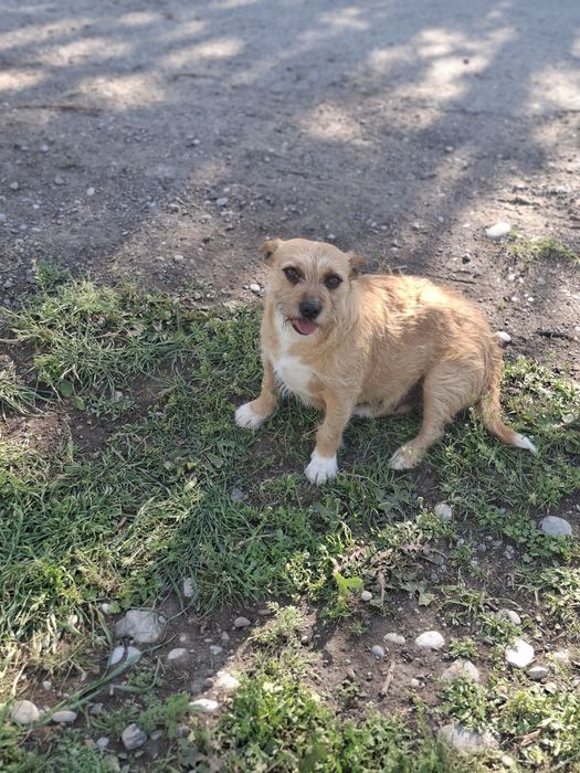 Кнопочка для семьи